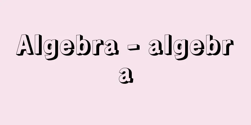 Algebra - algebra