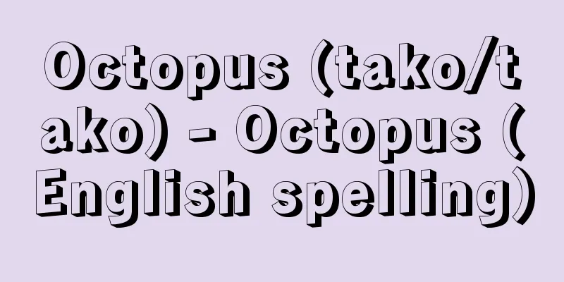 Octopus (tako/tako) - Octopus (English spelling)