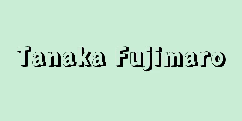 Tanaka Fujimaro