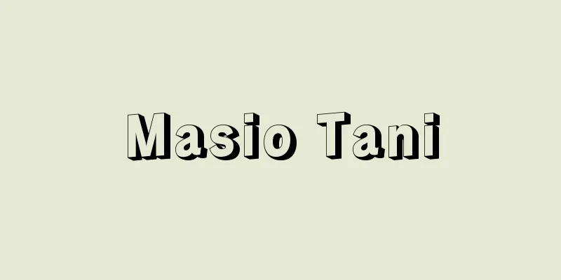 Masio Tani