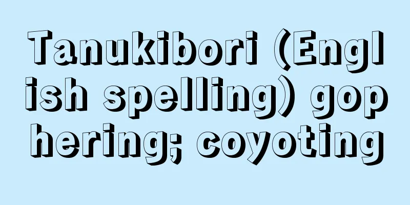 Tanukibori (English spelling) gophering; coyoting