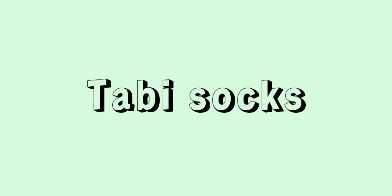 Tabi socks