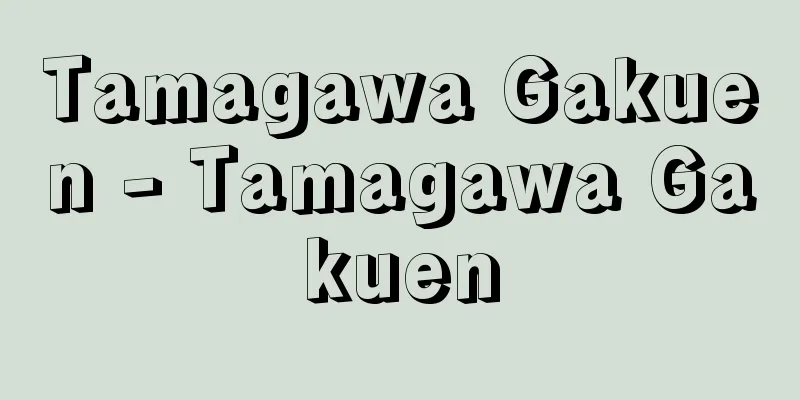 Tamagawa Gakuen - Tamagawa Gakuen