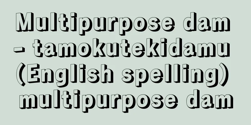 Multipurpose dam - tamokutekidamu (English spelling) multipurpose dam