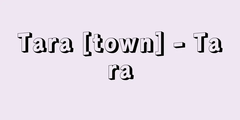 Tara [town] - Tara