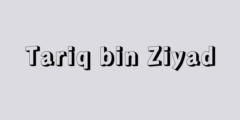Tariq bin Ziyad