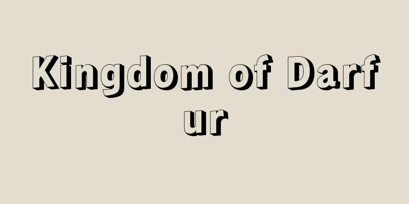 Kingdom of Darfur