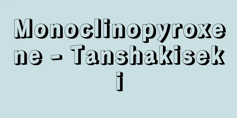 Monoclinopyroxene - Tanshakiseki