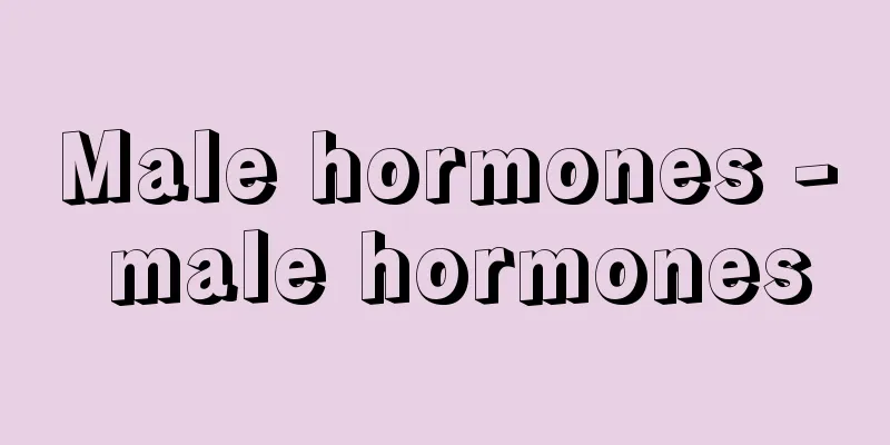 Male hormones - male hormones