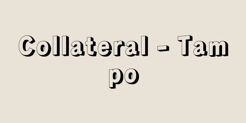 Collateral - Tampo