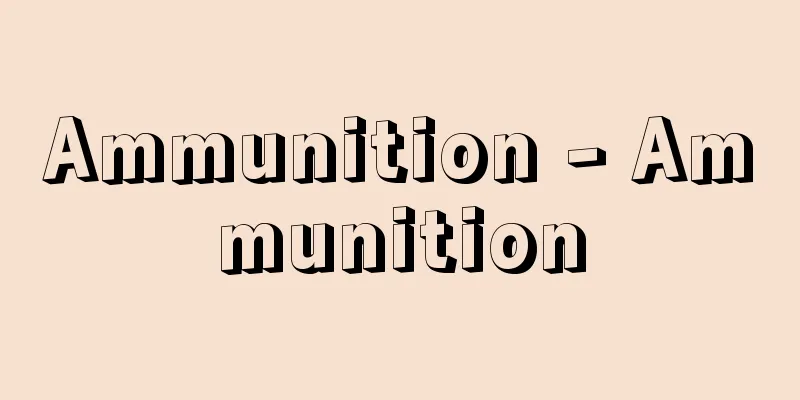 Ammunition - Ammunition