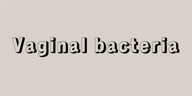 Vaginal bacteria