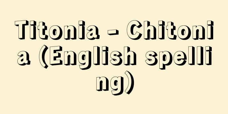 Titonia - Chitonia (English spelling)