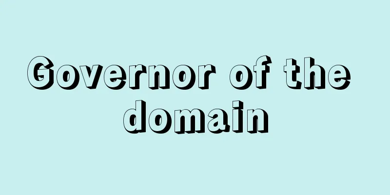 Governor of the domain