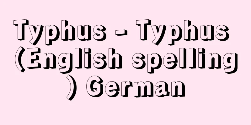 Typhus - Typhus (English spelling) German