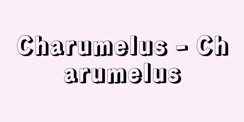 Charumelus - Charumelus