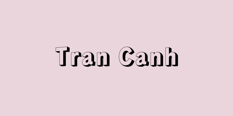 Tran Canh