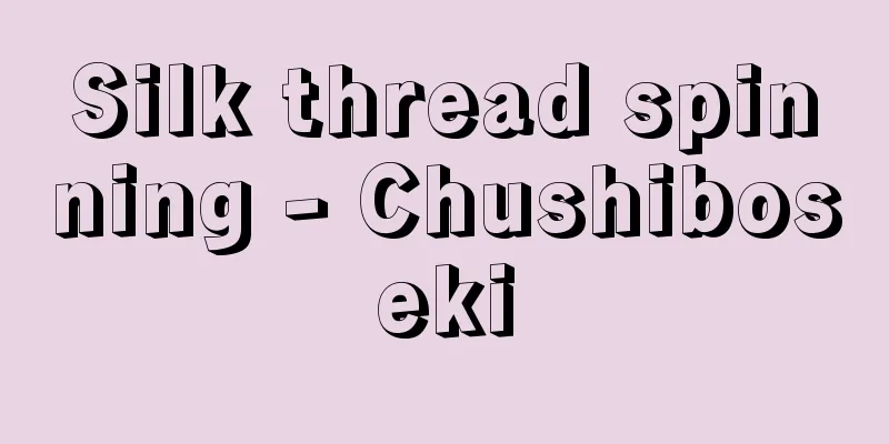 Silk thread spinning - Chushiboseki