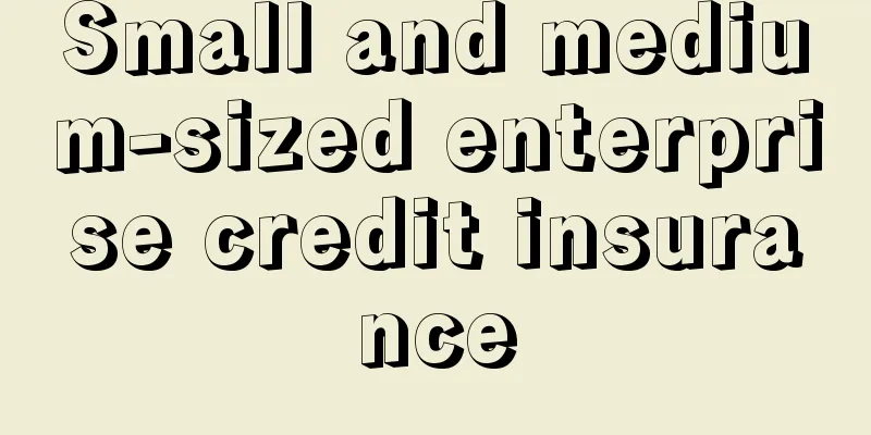 Small and medium-sized enterprise credit insurance