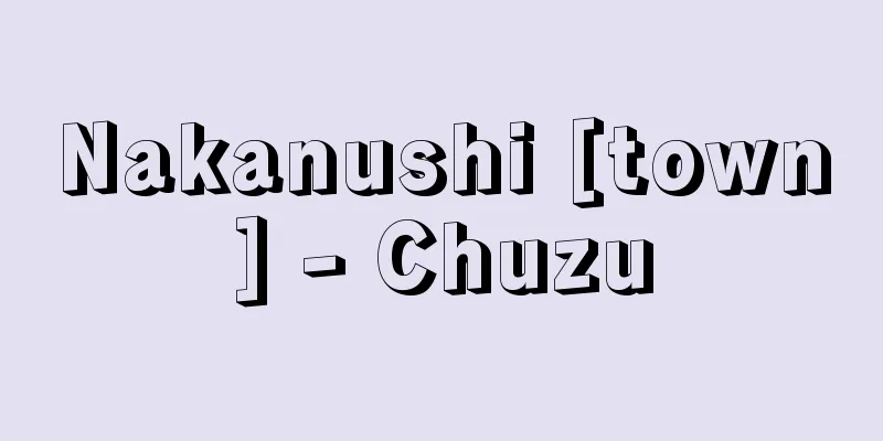 Nakanushi [town] - Chuzu