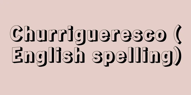 Churrigueresco (English spelling)
