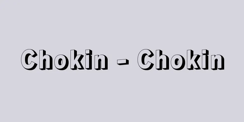 Chokin - Chokin