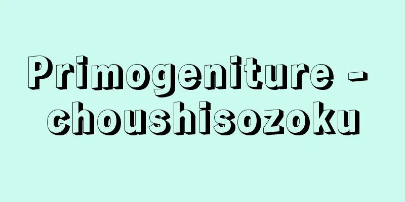 Primogeniture - choushisozoku