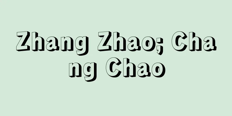 Zhang Zhao; Chang Chao