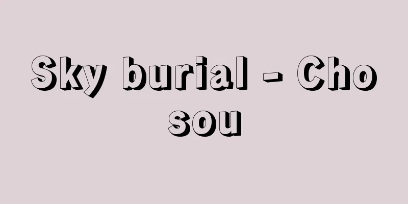 Sky burial - Chosou