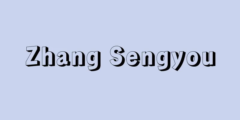 Zhang Sengyou