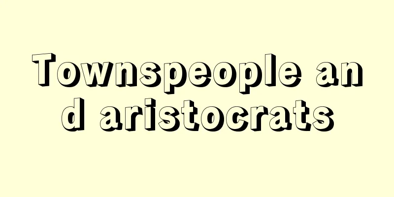 Townspeople and aristocrats