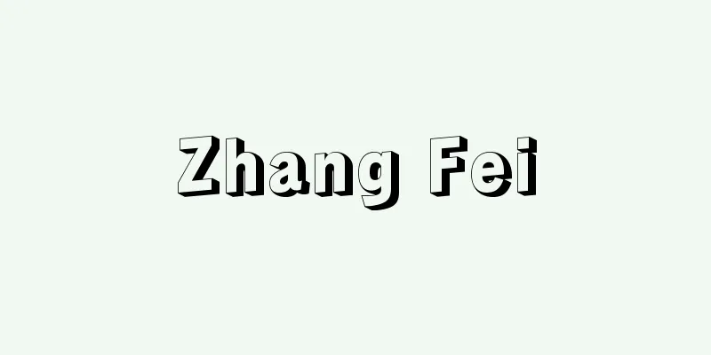 Zhang Fei
