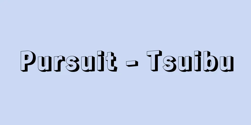 Pursuit - Tsuibu