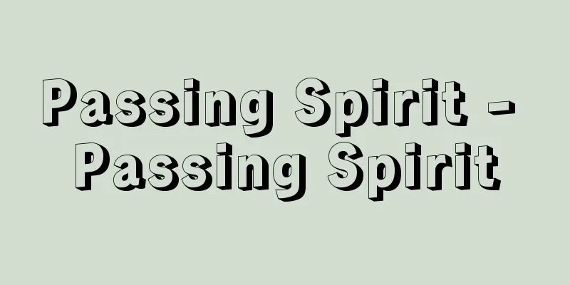 Passing Spirit - Passing Spirit