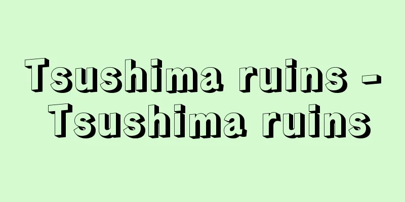 Tsushima ruins - Tsushima ruins