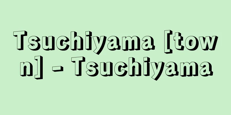 Tsuchiyama [town] - Tsuchiyama