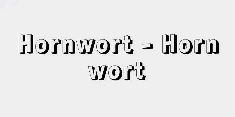 Hornwort - Hornwort