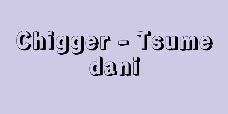 Chigger - Tsumedani