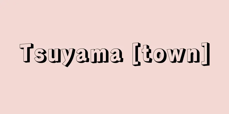 Tsuyama [town]