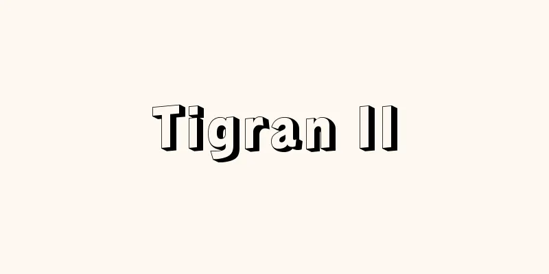 Tigran II