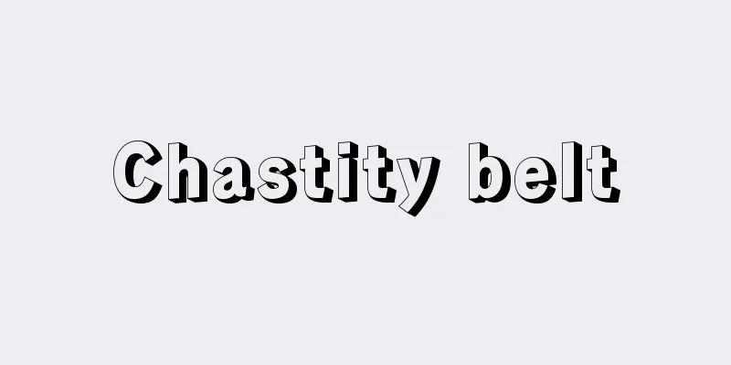 Chastity belt