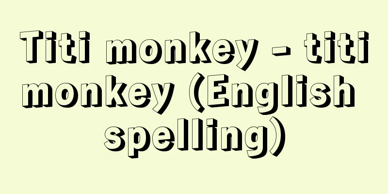 Titi monkey - titimonkey (English spelling)