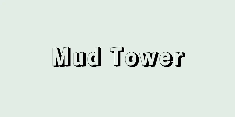 Mud Tower