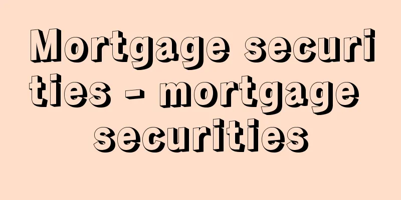 Mortgage securities - mortgage securities