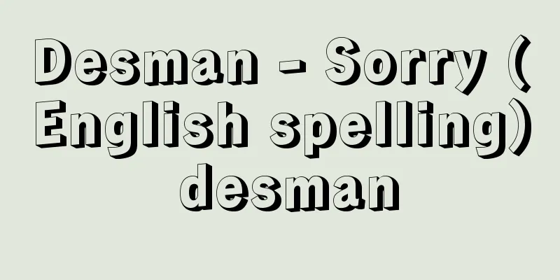 Desman - Sorry (English spelling) desman