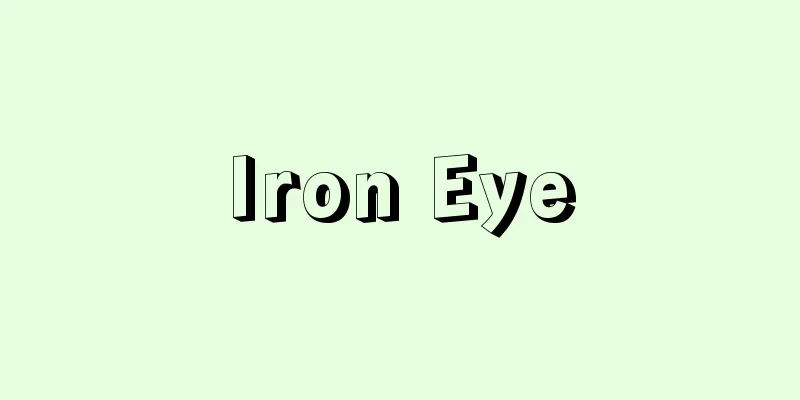 Iron Eye