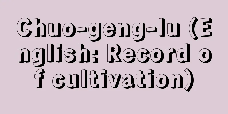 Chuo-geng-lu (English: Record of cultivation)