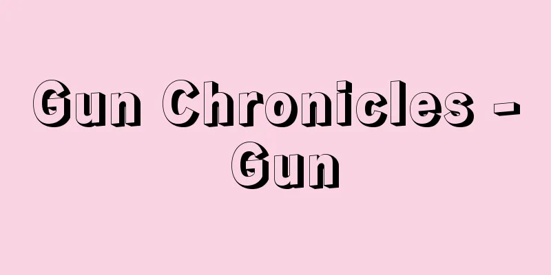 Gun Chronicles - Gun