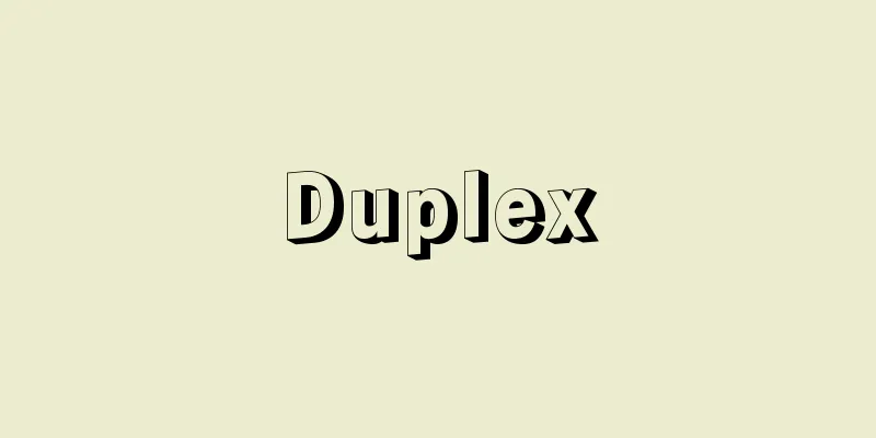 Duplex