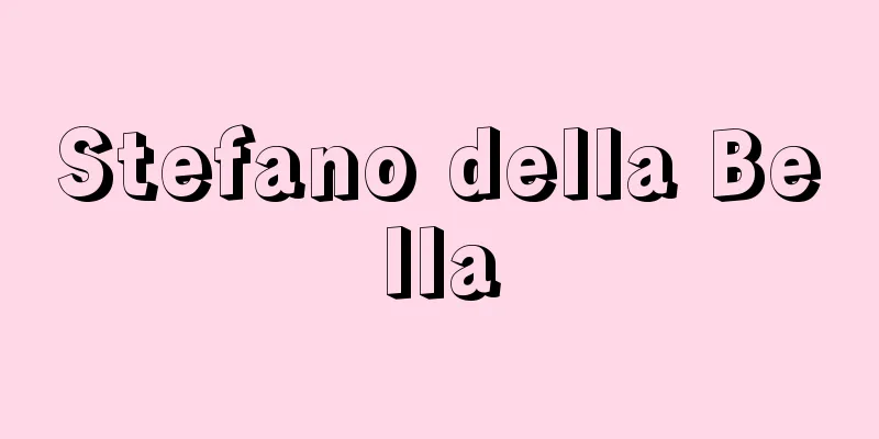 Stefano della Bella